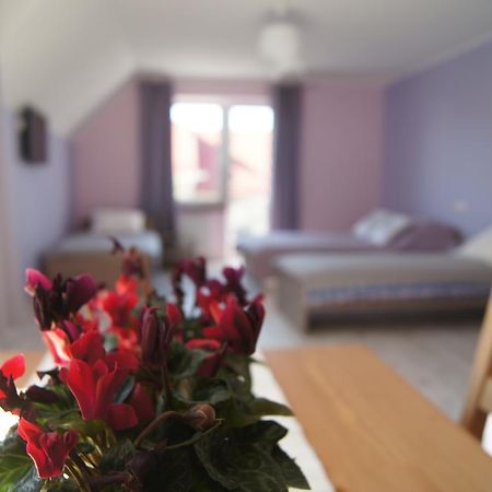 Villa Terra Pruszcz Gdański Zewnętrze zdjęcie
